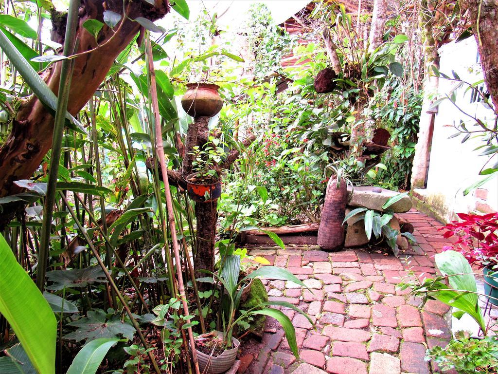 Hotel Casa Tarzan San Agustin Exterior foto